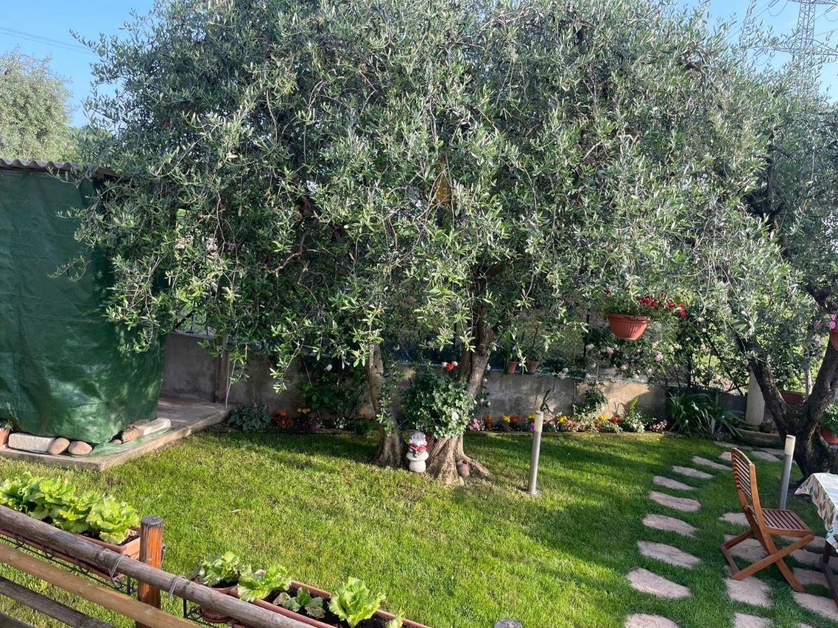 Casa Vacanze Collina Del Lago Pastrengo Dış mekan fotoğraf